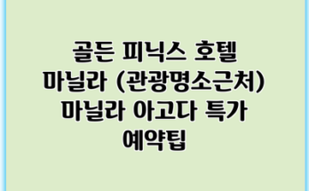 골든 피닉스 호텔 마닐라 (관광명소근처) 마닐라 아고다 특가 예약팁