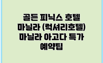 골든 피닉스 호텔 마닐라 (럭셔리호텔) 마닐라 아고다 특가 예약팁