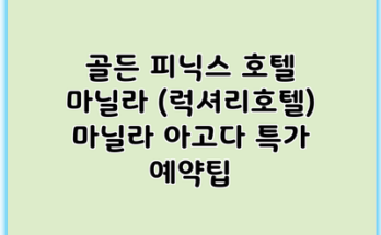 골든 피닉스 호텔 마닐라 (럭셔리호텔) 마닐라 아고다 특가 예약팁
