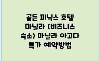 골든 피닉스 호텔 마닐라 (비즈니스 숙소) 마닐라 아고다 특가 예약방법