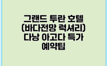 그랜드 투란 호텔 (바다전망 럭셔리) 다낭 아고다 특가 예약팁