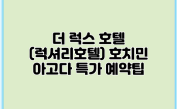 더 럭스 호텔 (럭셔리호텔) 호치민 아고다 특가 예약팁
