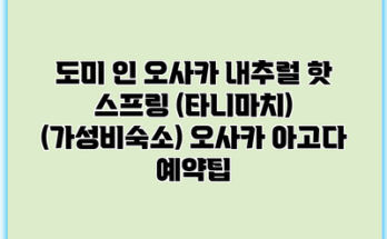 도미 인 오사카 내추럴 핫 스프링 (타니마치) (가성비숙소) 오사카 아고다 예약팁