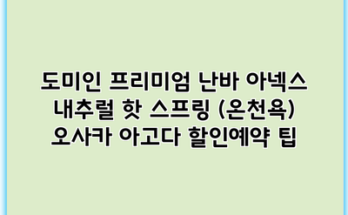 도미인 프리미엄 난바 아넥스 내추럴 핫 스프링 (온천욕) 오사카 아고다 할인예약 팁