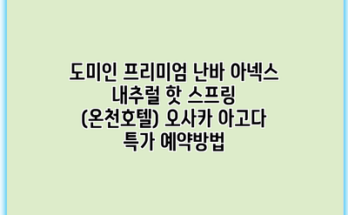 도미인 프리미엄 난바 아넥스 내추럴 핫 스프링 (온천호텔) 오사카 아고다 특가 예약방법