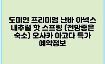 도미인 프리미엄 난바 아넥스 내추럴 핫 스프링 (전망좋은 숙소) 오사카 아고다 특가 예약정보
