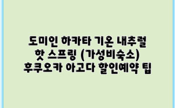 도미인 하카타 기온 내추럴 핫 스프링 (가성비숙소) 후쿠오카 아고다 할인예약 팁