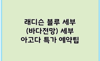 래디슨 블루 세부 (바다전망) 세부 아고다 특가 예약팁