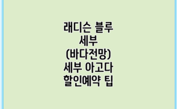 래디슨 블루 세부 (바다전망) 세부 아고다 할인예약 팁