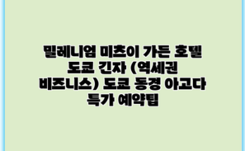 밀레니엄 미츠이 가든 호텔 도쿄 긴자 (역세권 비즈니스) 도쿄 동경 아고다 특가 예약팁