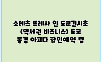 소테츠 프레사 인 도쿄긴시초 (역세권 비즈니스) 도쿄 동경 아고다 할인예약 팁