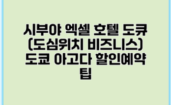 시부야 엑셀 호텔 도큐 (도심위치 비즈니스) 도쿄 아고다 할인예약 팁