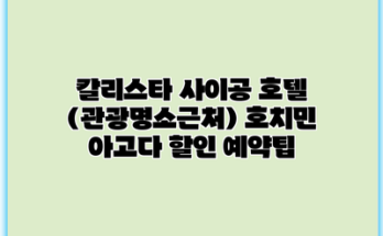 칼리스타 사이공 호텔 (관광명소근처) 호치민 아고다 할인 예약팁