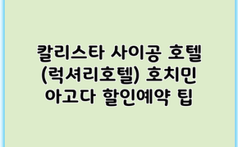 칼리스타 사이공 호텔 (럭셔리호텔) 호치민 아고다 할인예약 팁