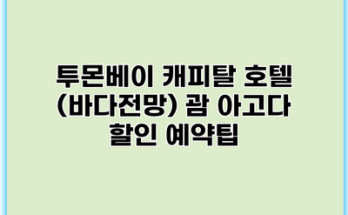 투몬베이 캐피탈 호텔 (바다전망) 괌 아고다 할인 예약팁