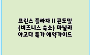 프린스 플라자 II 콘도텔 (비즈니스 숙소) 마닐라 아고다 특가 예약가이드