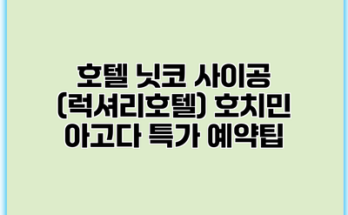 호텔 닛코 사이공 (럭셔리호텔) 호치민 아고다 특가 예약팁