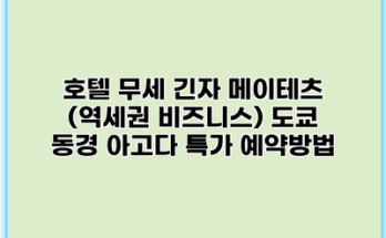 호텔 무세 긴자 메이테츠 (역세권 비즈니스) 도쿄 동경 아고다 특가 예약방법