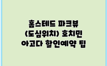 홈스테드 파크뷰 (도심위치) 호치민 아고다 할인예약 팁