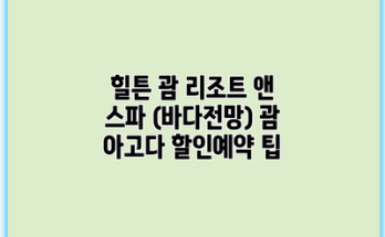 힐튼 괌 리조트 앤 스파 (바다전망) 괌 아고다 할인예약 팁
